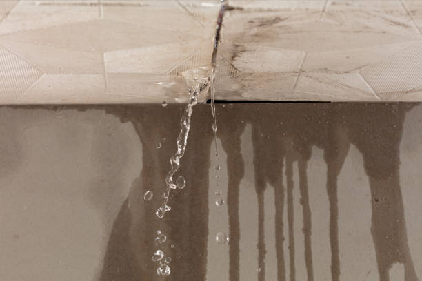 Professional Flood Damage Cleanup technician working in Hartsville, IN